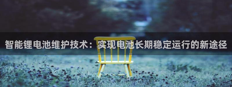 tp钱包怎么兑换人民币：智能锂电池维护技术：实现电池长期稳定运行的新途径