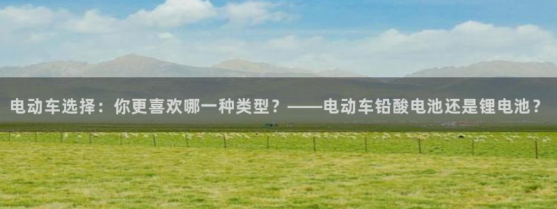 tp钱包 boom危险：电动车选择：你更喜欢哪一种类型？——电动车铅酸电池还是锂电池？