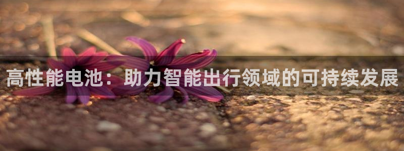 tp钱包卸载了怎么办：高性能电池：助力智能出行领域的可持续发展