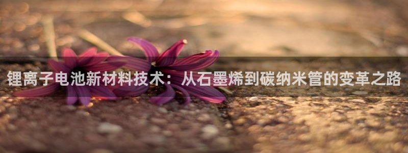 tp钱包的DAI币被转走了怎么找回：锂离子电池新材料技术：从石墨烯到碳纳米管的变革之路