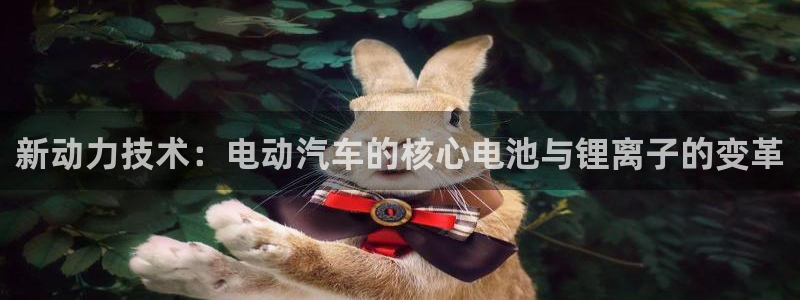 tp钱包下载进不去怎么办：新动力技术：电动汽车的核心电池与锂离子的变革