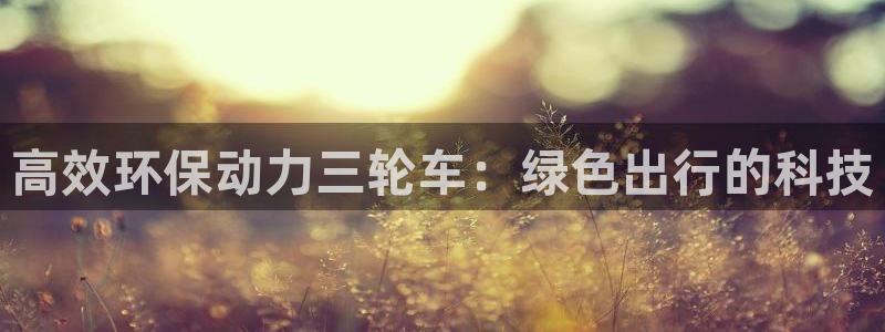 tp钱包怎么找回空投的币：高效环保动力三轮车：绿色出行的科技