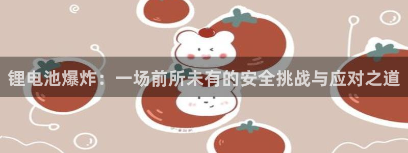 TP钱包下载之后为什么打开不了：锂电池爆炸：一场前所未有的安全挑战与应对之道