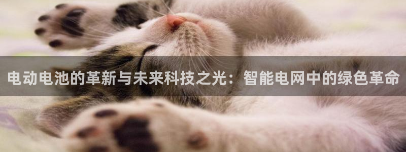 TP钱包怎样设置自动快速转账：电动电池的革新与未来科技之光：智能电网中的绿色革命