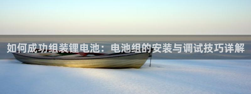 tp钱包买的币不见了：如何成功组装锂电池：电池组的安装与调试技巧详解